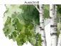 Preview: Wandtattoo Birkenbaum - Ausschnitt