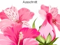 Preview: Wandtattoo Set Hibiskusblüten zur freien Anordnung - Ansicht Ausschnitt Preview: Wandtattoo Set Hibiskusblüten zur freien Anordnung - Ansicht Ausschnitt