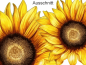 Preview: Wandtattoo Set Sonnenblumen - Ansicht Ausschnitt Preview: Wandtattoo Set Sonnenblumen - Ansicht Ausschnitt