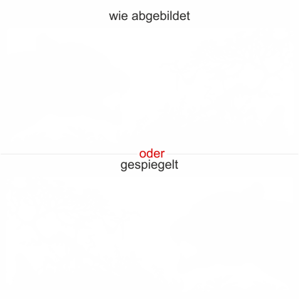 Preview: Aufkleber für die Wand mit Tiger