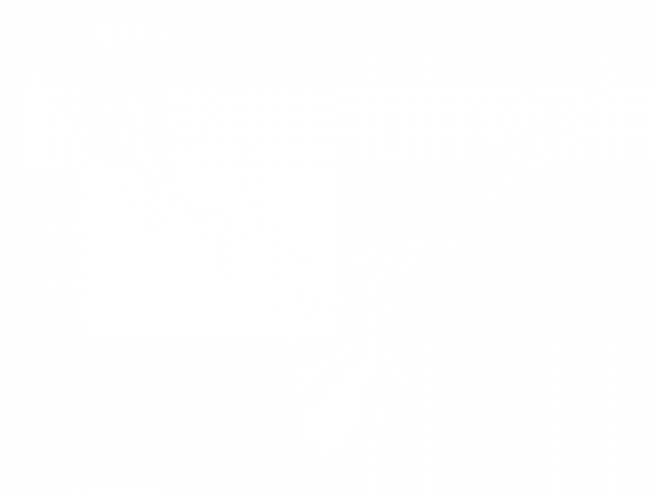 Preview: Selbstklebende Garderobe mit Hirschkopf