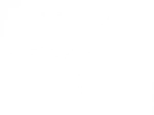 Wandsticker mit Ast im Wind und Vogelkäfig