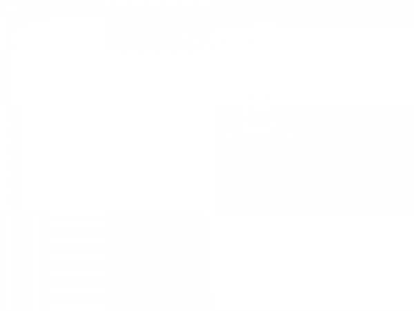 Preview: Wandtattoo Garderobe Baum mit Eule Preview: Wandtattoo Garderobe Baum mit Eule