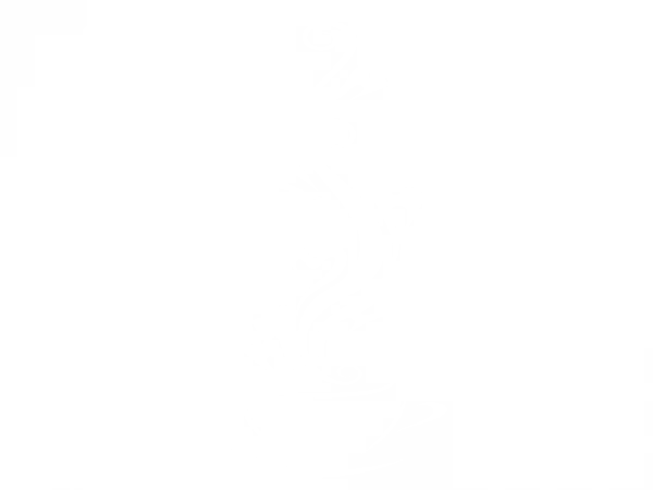 Kaffeetasse als Wandaufkleber für Küchenwand