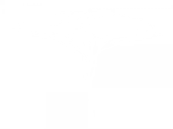 Wandaufkleber mit afrikanischem Savannenbaum