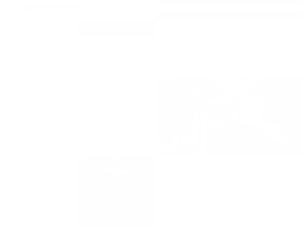 Preview: Wandaufkleber Zauberwelt mit Fee