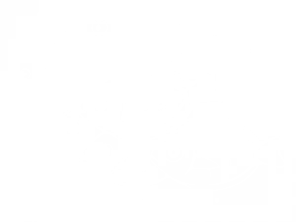Selbstklebende Wandfolie mit Fischschwarm