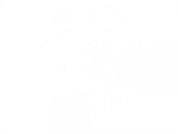 Löwe in Geometrie Optik als Aufkleber für die Wand