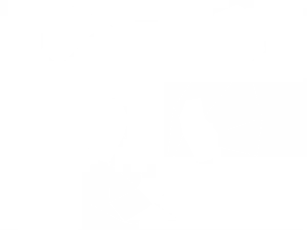 Panda im Geometrie Look als Aufkleber für die Wand