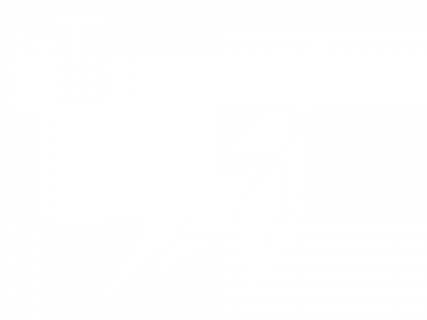 Preview: Hirsch Aufkleber für die Wand