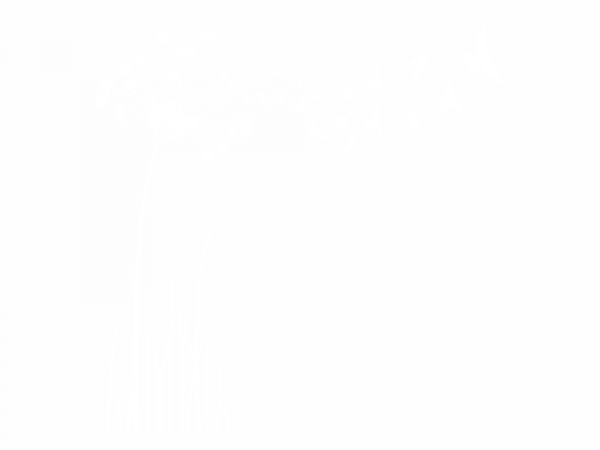 Wandaufkleber Pusteblume mit Vögeln
