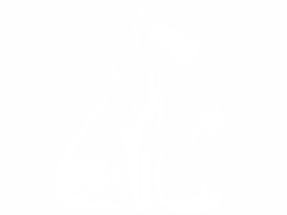 Preview: Wandtattoo Tiere Preview: Gruppe von Tieren als modernes Wandtattoo