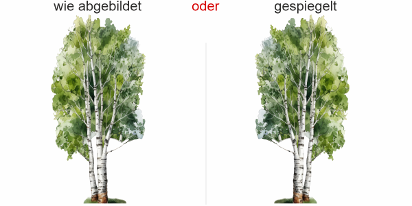 Preview: Wandtattoo Aquarell Birke Preview: Wandtattoo Aquarell Birke - Ansicht Ausrichtung