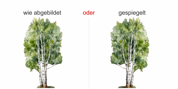 Preview: Wandtattoo Aquarell Birke - Ansicht Ausrichtung