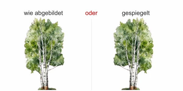 Wandtattoo Aquarell Birke - Ansicht Ausrichtung