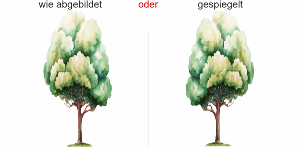 Preview: Wandtattoo Aquarell Buche - Ansicht Ausrichtung