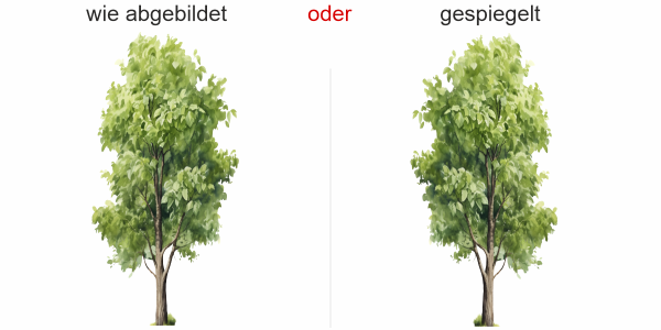 Preview: Wandtattoo Aquarell Laubbaum Preview: Wandtattoo Aquarell Laubbaum - Ansicht Ausrichtung