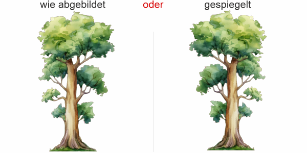 Preview: Wandtattoo Aquarell Pappel Preview: Wandtattoo Aquarell Pappel - Ansicht Ausrichtung