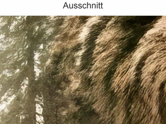 Preview: Wandtattoo Bären Silhouette mit Wald Preview: Wandtattoo Bären Silhouette mit Wald