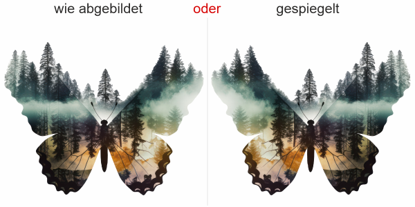 Preview: Wandtattoo Mystischer Waldschmetterling Preview: Wandtattoo Mystischer Waldschmetterling