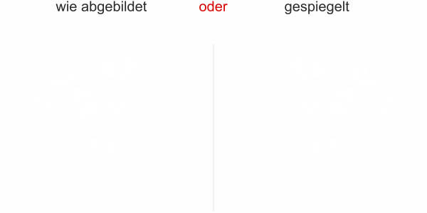 Preview: Wandsticker mit Orchideenzweig - Ansicht Ausrichtung und Farbauswahl