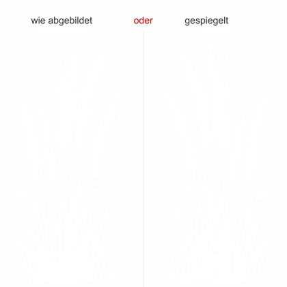 Wandtattoo Pampasgras mit Zierwedel - Ansicht Ausrichtung und Farbauswahl Wandtattoo Pampasgras mit Zierwedel - Ansicht Ausrichtung und Farbauswahl
