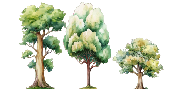 Preview: Wandtattoo Set Aquarell Bäume Preview: Wandtattoo Set Aquarell Bäume - Komplettansicht