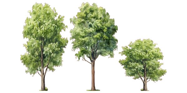 Preview: Wandtattoo Set Aquarell Laubbäume Preview: Wandtattoo Set Aquarell Laubbäume - Komplettansicht