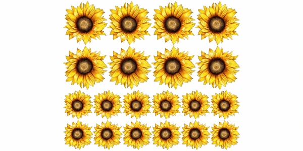 Wandtattoo Set Sonnenblumen zur freien Platzierung
