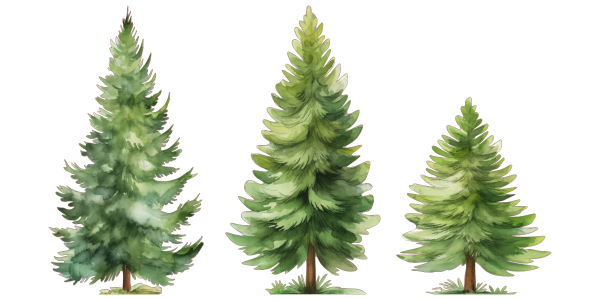 Preview: Wandtattoo Set Waldtiere mit Aquarell Tannen - Komplettansicht Tannen