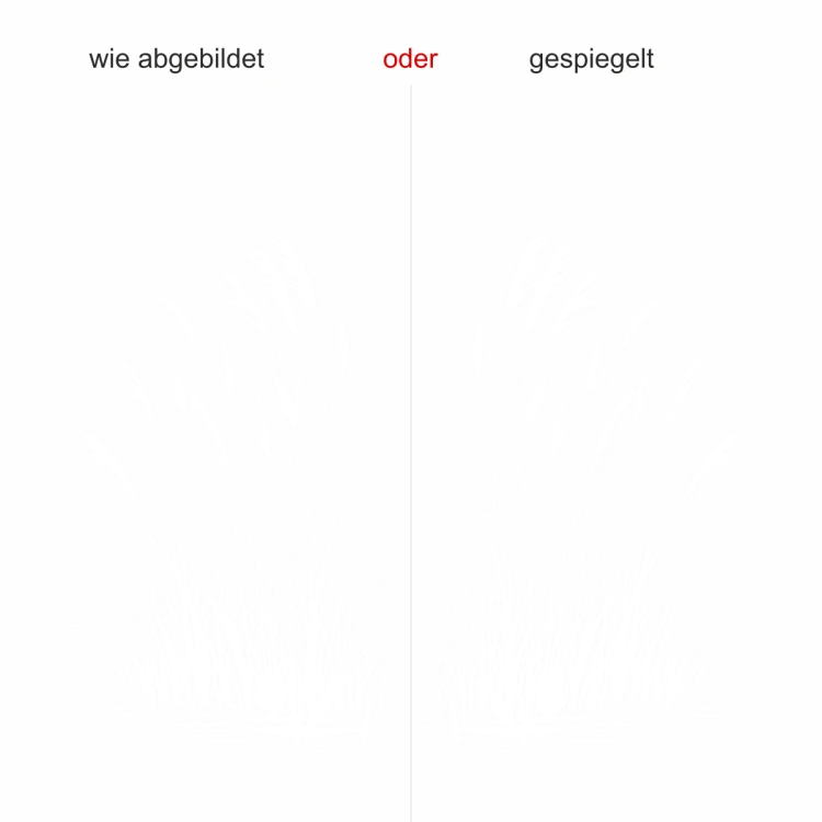 Wandtattoo Schilfgras im Wind am See - Ausrichtung und Farbauswahl Wandtattoo Schilfgras im Wind am See - Ausrichtung und Farbauswahl