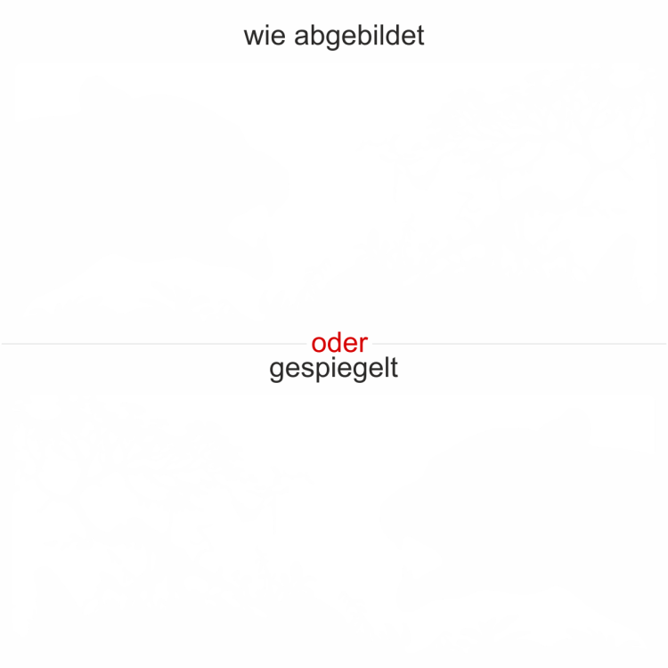 Aufkleber für die Wand mit Tiger
