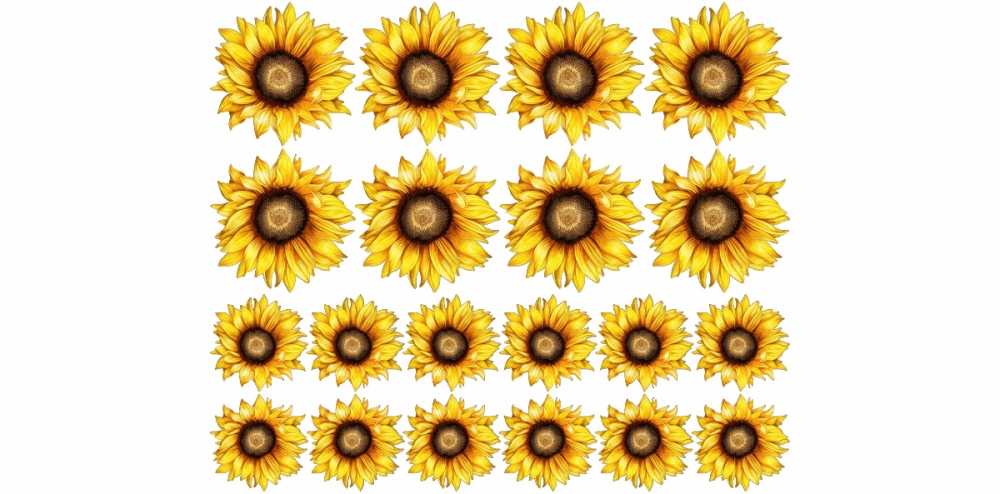 Ein Ensemble aus Sonnenblumen als Aufkleber für die Wand