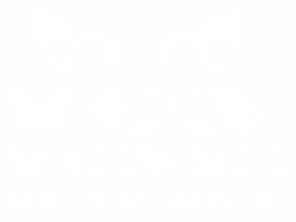 Schmetterlingsaufkleber im Set