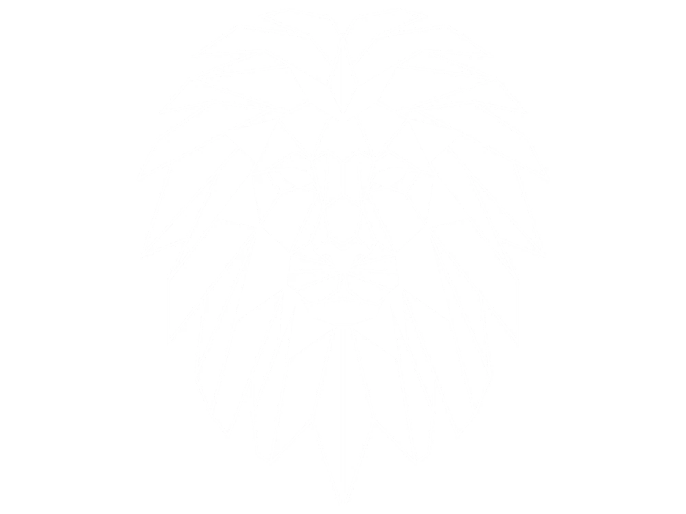 Löwe in Geometrie Optik als Aufkleber für die Wand
