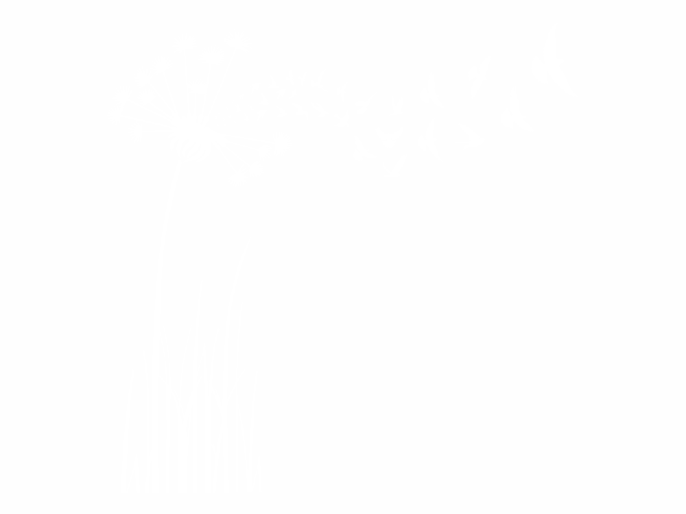 Wandaufkleber Pusteblume mit Vögeln