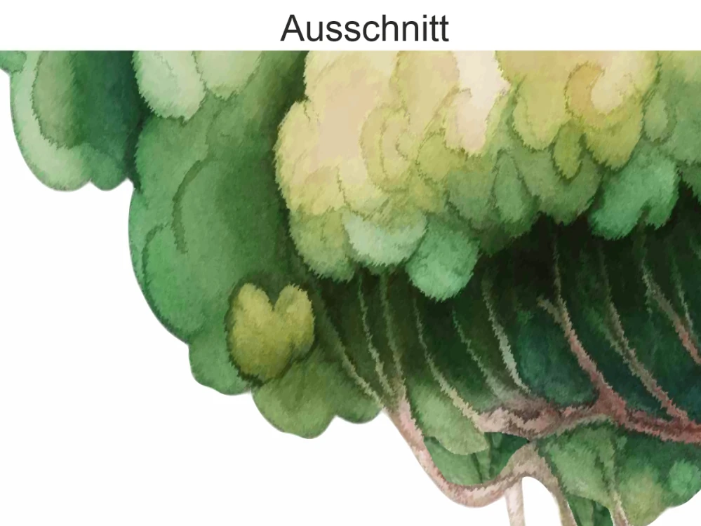 Wandtattoo Aquarell Buche - Ausschnitt
