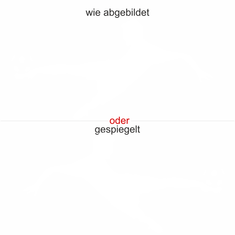 Actiongeladener Wandsticker mit Fußballer