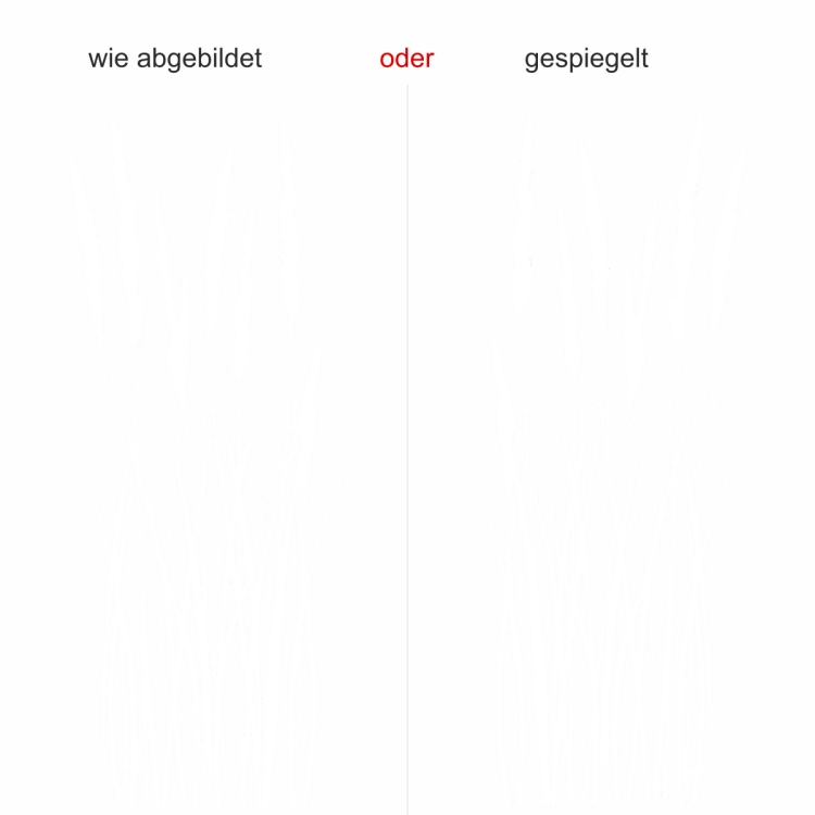 Wandsticker mit Grashalmen für sommerliches Flair - Ansicht Ausrichtung und Farbauswahl