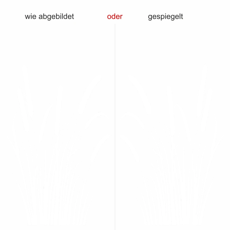 Wandtattoo Lampenputzer Schilfgras - Ausrichtung und Farbauswahl Wandtattoo Lampenputzer Schilfgras - Ausrichtung und Farbauswahl