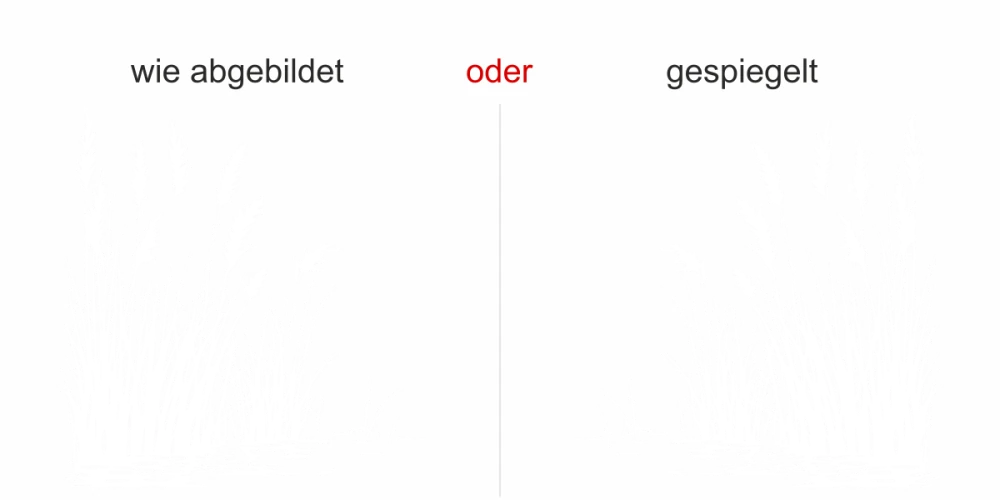 Wandtattoo Luftige Gräser am Ufer - Ausrichtung und Farbauswahl Wandtattoo Luftige Gräser am Ufer - Ausrichtung und Farbauswahl