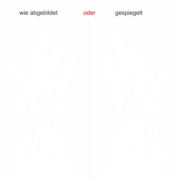 Wandtattoo Pampasgras mit Zierwedel - Ansicht Ausrichtung und Farbauswahl Wandtattoo Pampasgras mit Zierwedel - Ansicht Ausrichtung und Farbauswahl