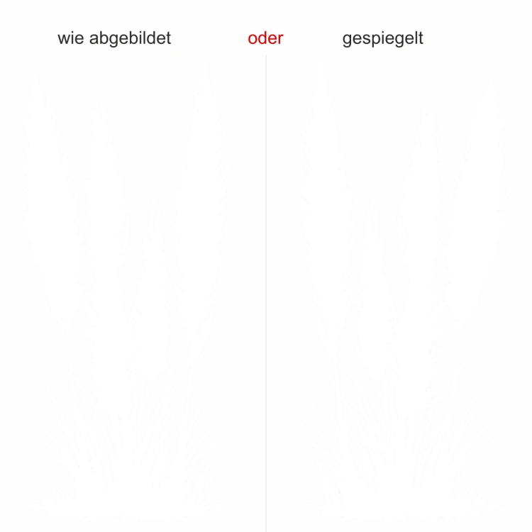 Wandtattoo Pampasgrasmotiv - Ansicht Ausrichtung und Farbauswahl Wandtattoo Pampasgrasmotiv - Ansicht Ausrichtung und Farbauswahl
