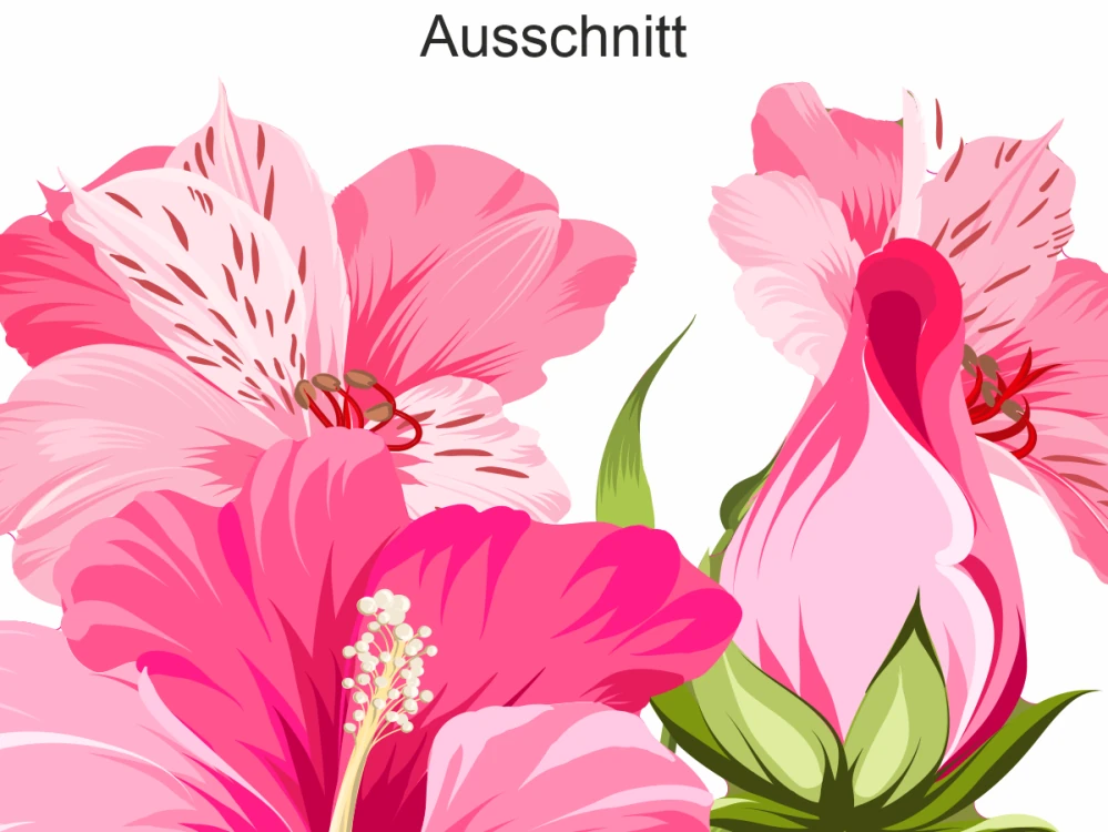 Wandtattoo Set Hibiskusblüten zur freien Anordnung - Ansicht Ausschnitt Wandtattoo Set Hibiskusblüten zur freien Anordnung - Ansicht Ausschnitt