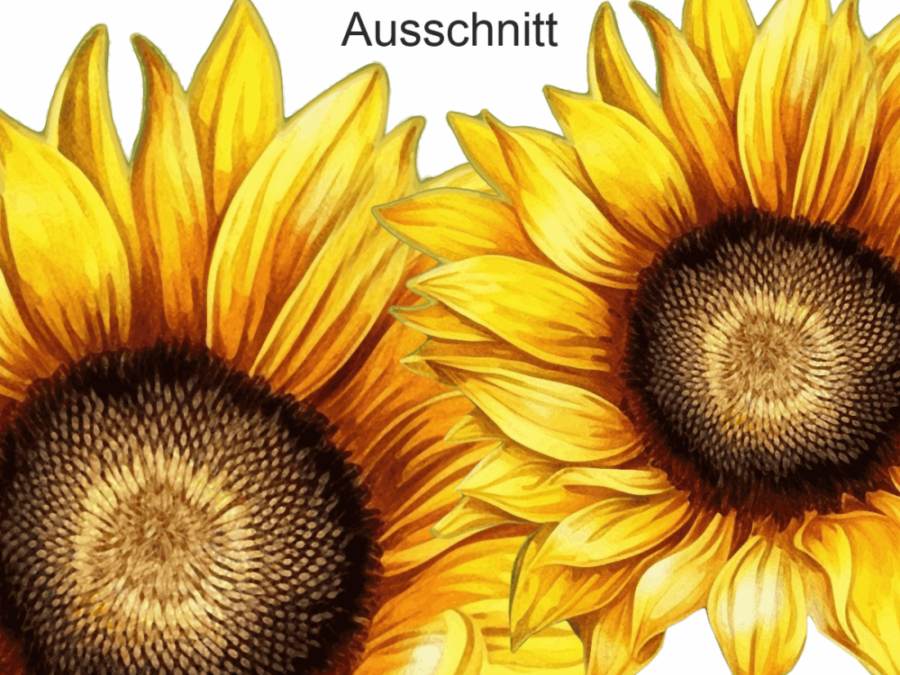 Wandtattoo Set Sonnenblumen - Ansicht Ausschnitt Wandtattoo Set Sonnenblumen - Ansicht Ausschnitt