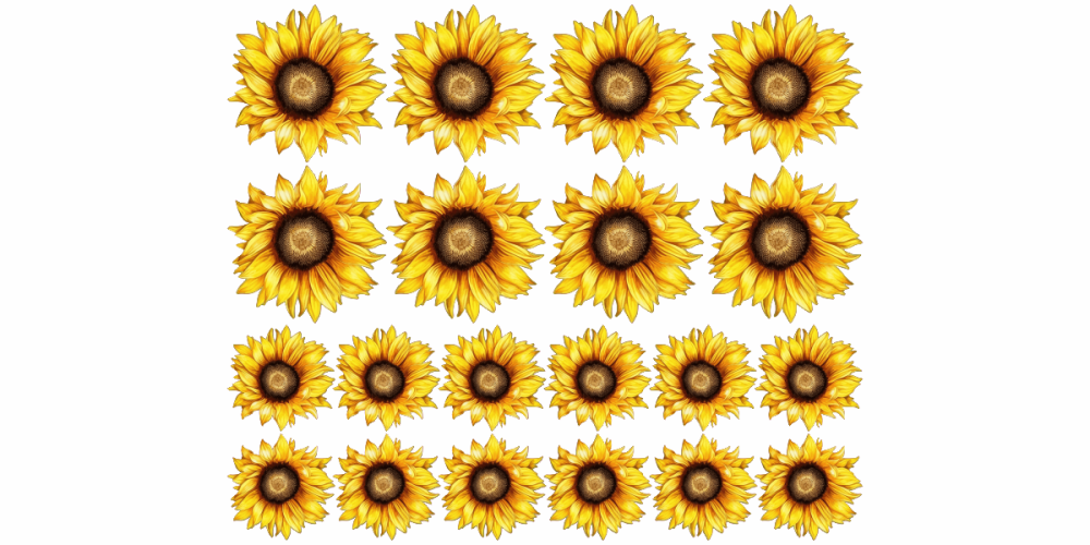 Wandtattoo Set Sonnenblumen zur freien Platzierung Wandtattoo Set Sonnenblumen zur freien Platzierung