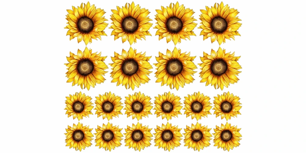 Wandtattoo Set Sonnenblumen zur freien Platzierung Wandtattoo Set Sonnenblumen zur freien Platzierung