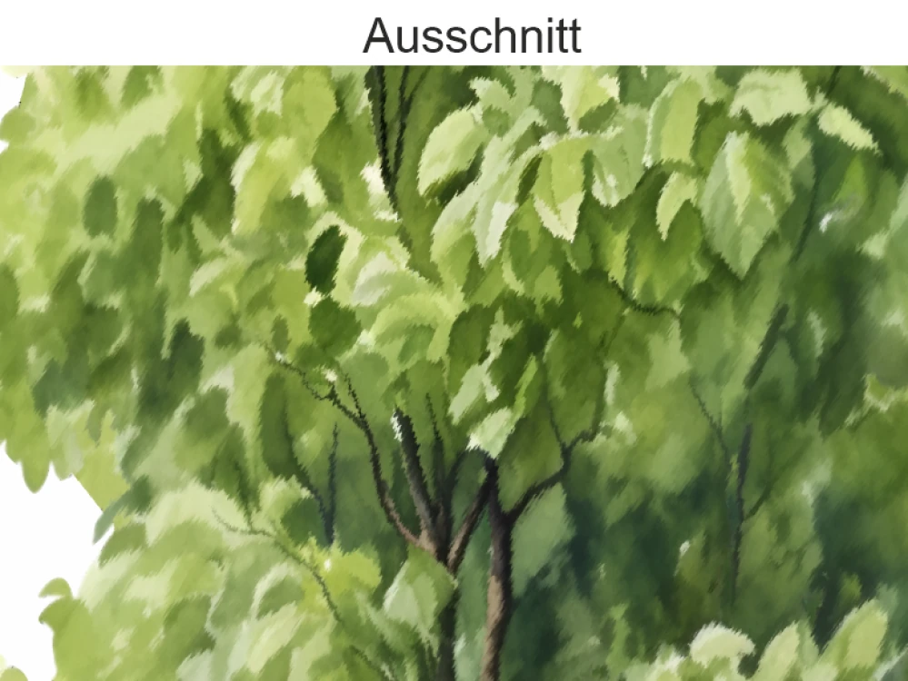 Wandtattoo Sommerlinde - Ausschnitt