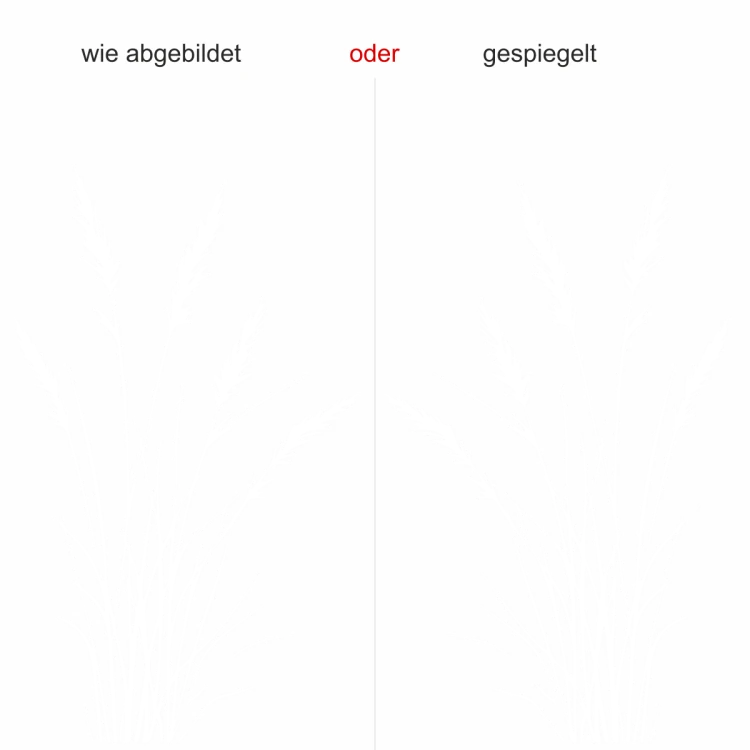 Wandtattoo Zartes Gras Design - Ausrichtung und Farbauswahl Wandtattoo Zartes Gras Design - Ausrichtung und Farbauswahl