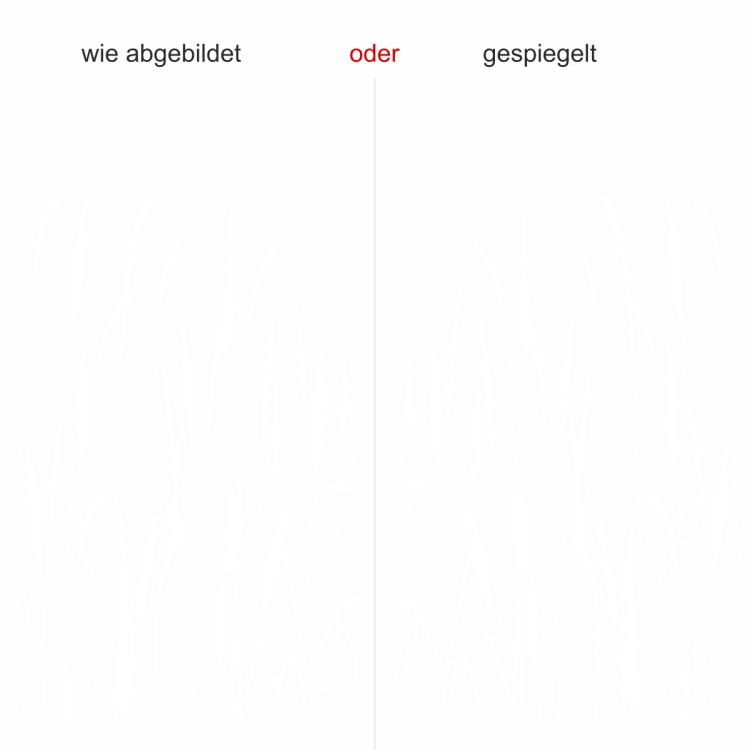 Wandtattoo Zartes Wiesengras - Ausrichtung und Farbauswahl Wandtattoo Zartes Wiesengras - Ausrichtung und Farbauswahl